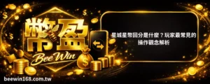 星城星幣回分是什麼？玩家最常見的操作觀念解析